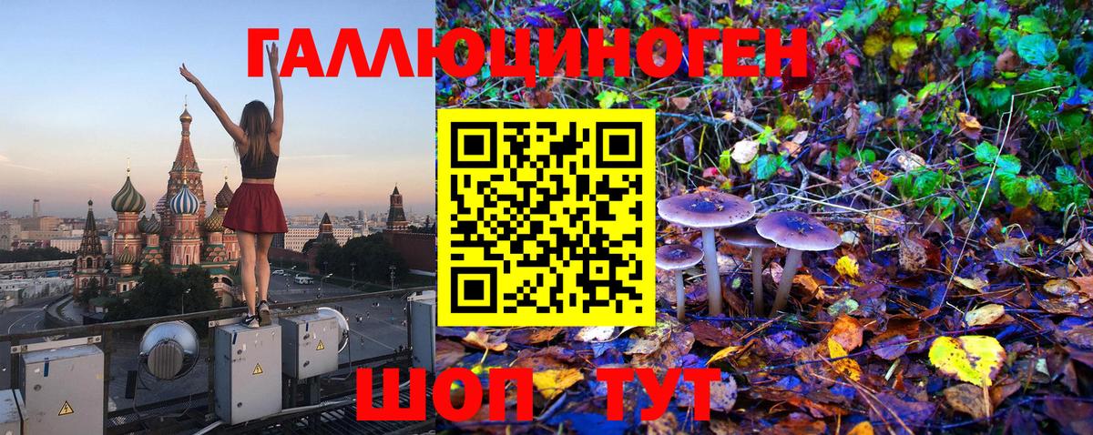 где продают   Псилоцибиновые грибы Psilocybine cubensis  Вход с VPN  Саратов 